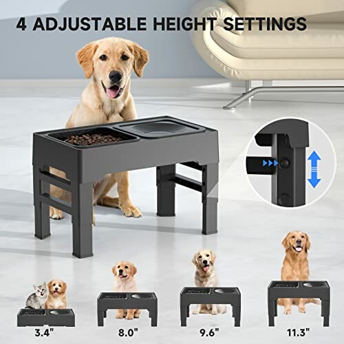 Dog next to adjustable height pet feeding station with bowls.