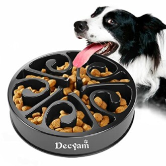 Slow Feeder Dog Bowl