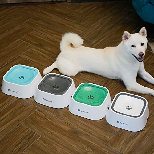 Dog lying on floor next to four colorful pet bowls