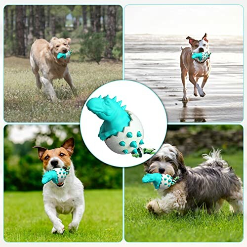 Four dogs running with a turquoise dinosaur toy in different outdoor settings.