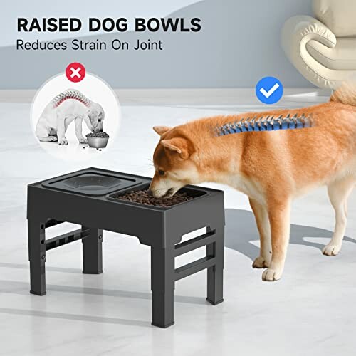 Dog eating from raised bowls to reduce joint strain.