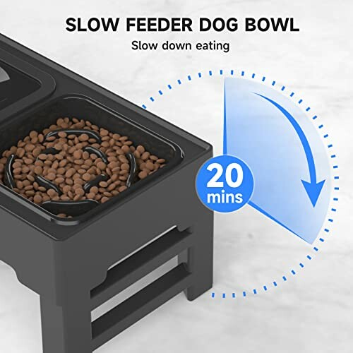 Slow feeder dog bowl slowing down eating with timer illustration.